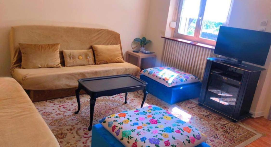 Gite "La Baloise" Колмар Екстериор снимка