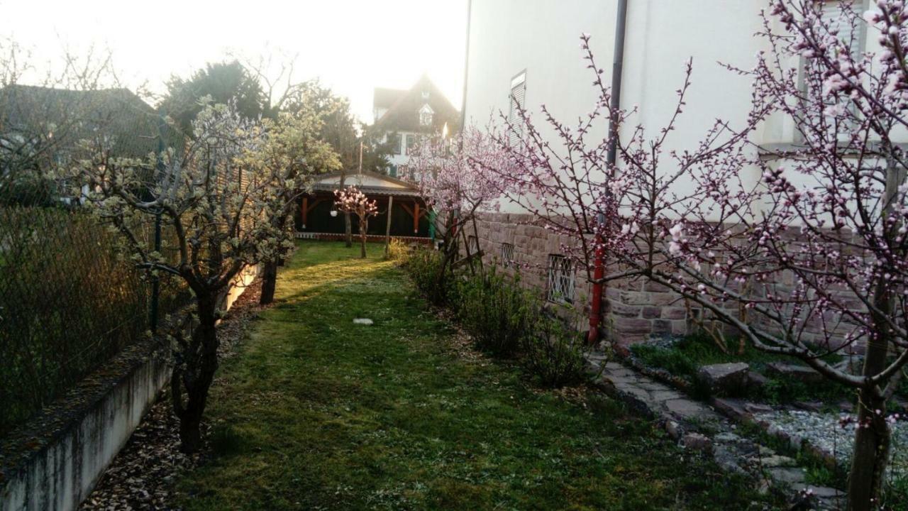 Gite "La Baloise" Колмар Екстериор снимка